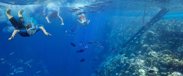 Das Rote Meer bietet eine beeindruckende Unterwasserwelt - prefekt zum Tauchen und Schnorcheln.